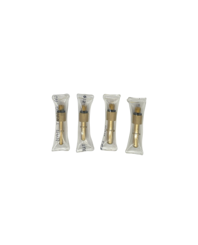 Bộ đo áp bơm xăng và buồng đốt 2 trong 1