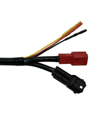 Thiết bị RENEW ECM/IMMO